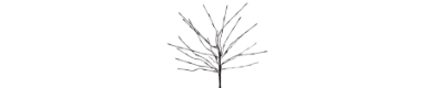 LED-verlichte bomen